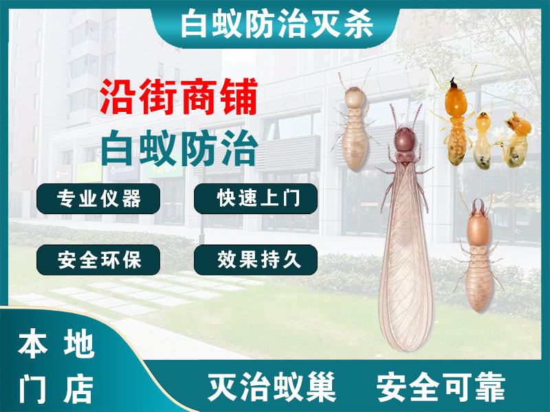 泰州沿街商铺白蚁防治