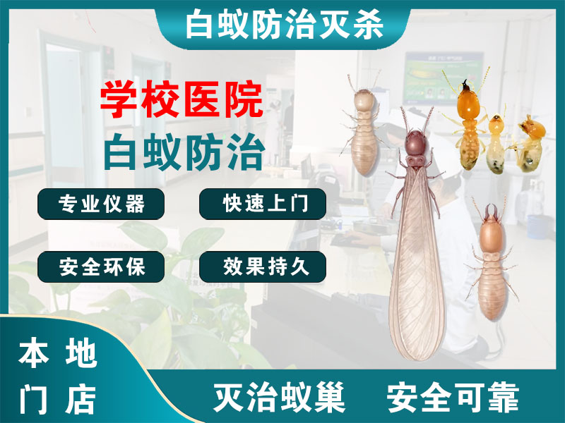 泰州学校医院白蚁防治