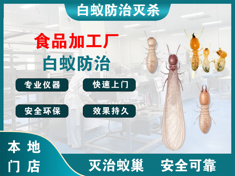泰州食品加工厂白蚁防治