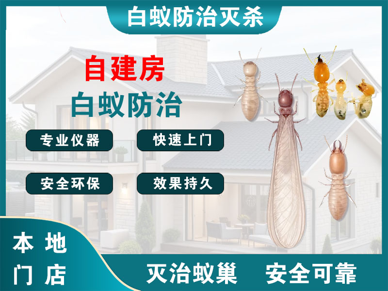 泰州自建房白蚁防治