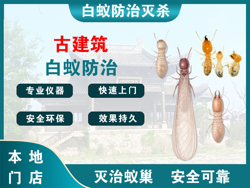 泰州古建筑白蚁防治