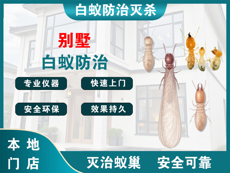 泰州别墅白蚁防治