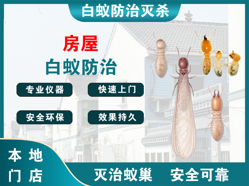泰州房屋白蚁防治